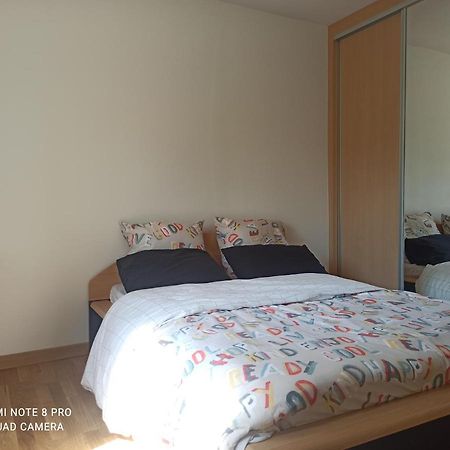 Super Appartement Avec Terasse Bischheim Eksteriør billede