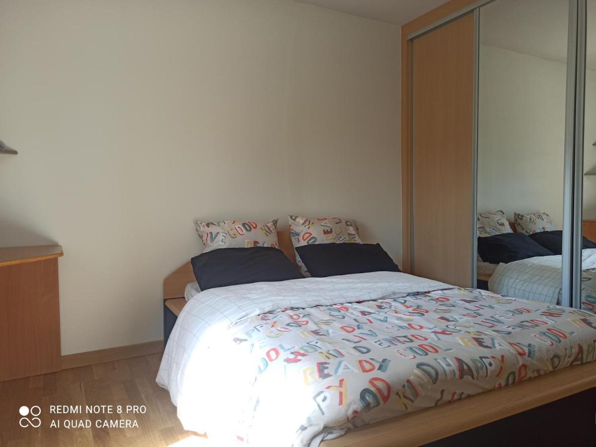 Super Appartement Avec Terasse Bischheim Eksteriør billede