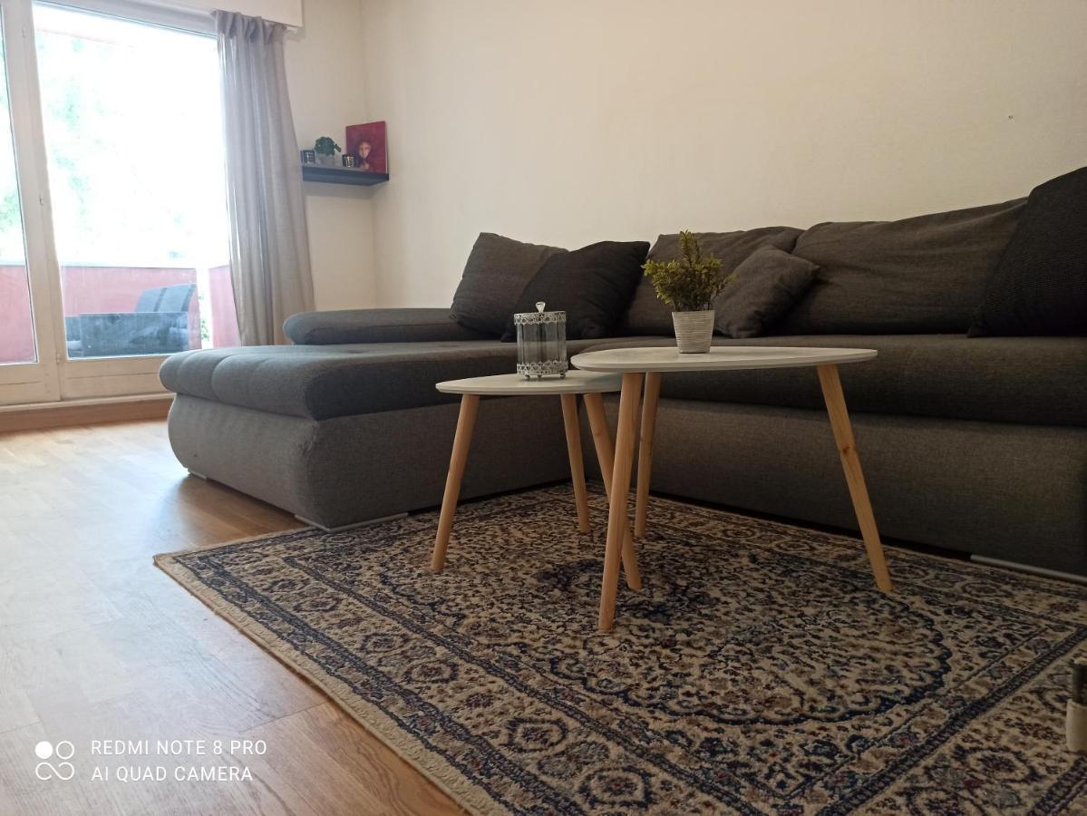 Super Appartement Avec Terasse Bischheim Eksteriør billede