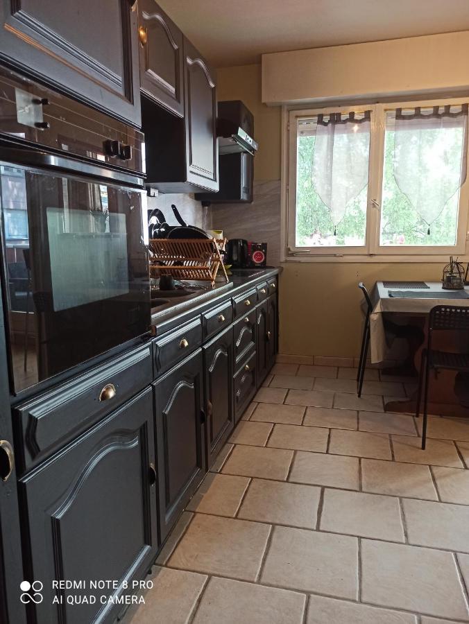 Super Appartement Avec Terasse Bischheim Eksteriør billede