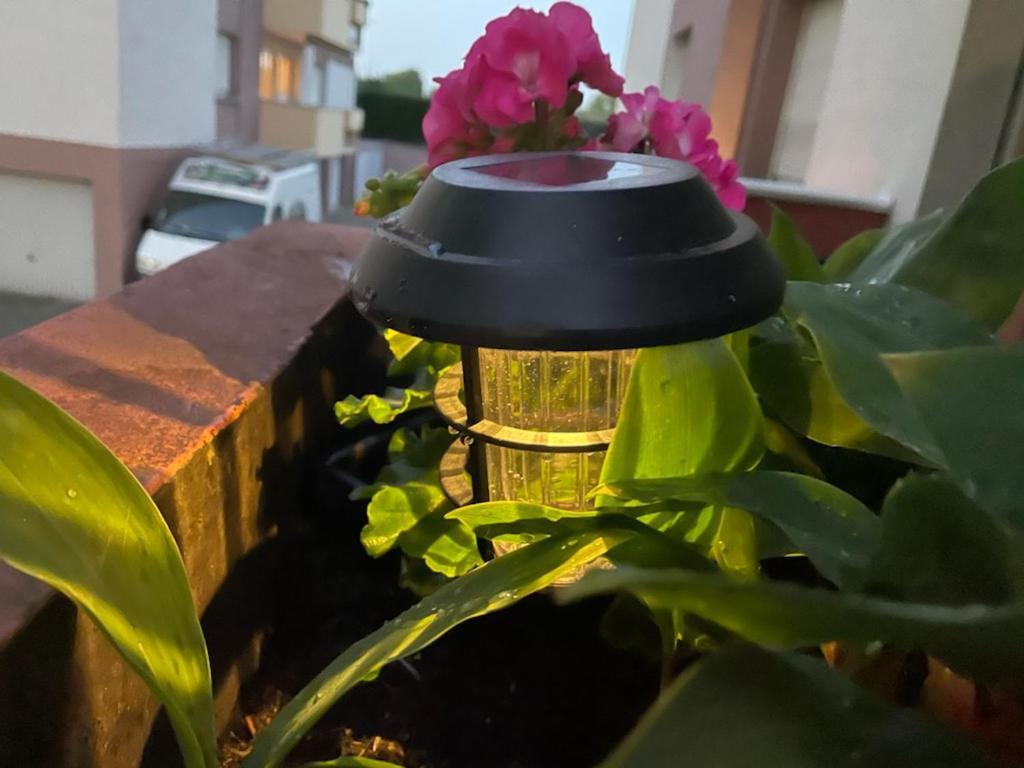 Super Appartement Avec Terasse Bischheim Eksteriør billede