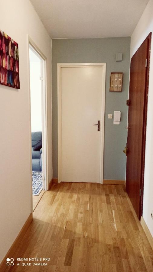 Super Appartement Avec Terasse Bischheim Eksteriør billede